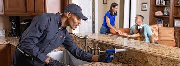 Professional Pest control in Pine Beach, NJ