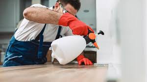 Best Residential Pest Control  in Pine Beach, NJ